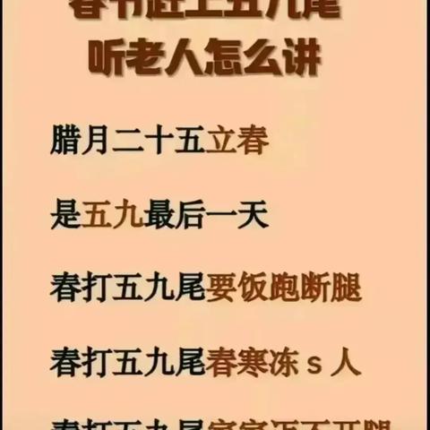 上海人口数据最新解析报告