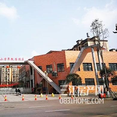 宜宾中泽集团最新动态，深度解读企业最新消息