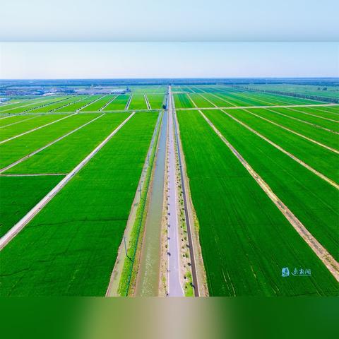 2025年5月31日